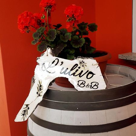 Beb Ulivo Bed & Breakfast Santa Giuletta ภายนอก รูปภาพ